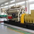 Low Fuel Consumption 100% Copper Wire Brushless 1000kw Bio Gas Generator